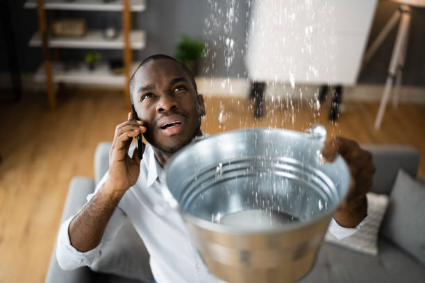 Best Professional water damage repair  in Berthoud, CO