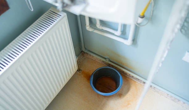 Best Water damage cleanup near me  in Berthoud, CO