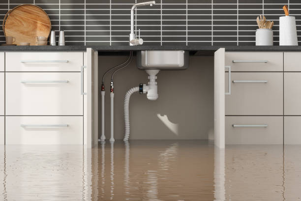 Best Water damage cleanup near me  in Berthoud, CO